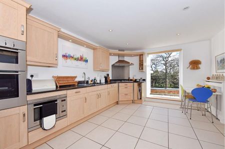 3 bedroom penthouse to rent - Photo 4