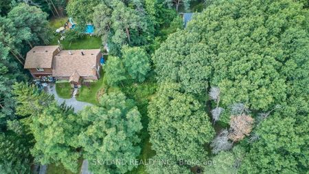 For Lease - 14170 Yonge Street Unit# Unit A, Aurora, Ontario - Photo 4