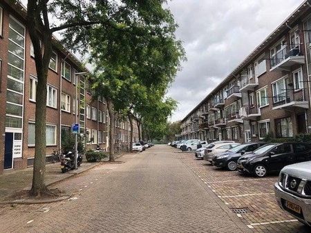 Fazantstraat - Foto 2