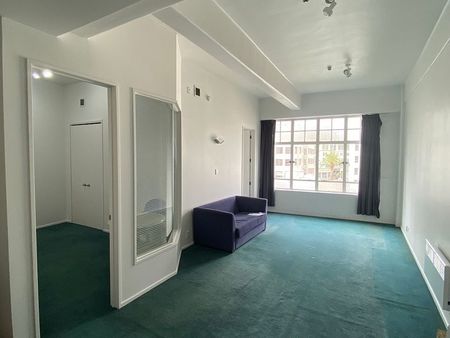 Large 2 bedroom unit Central Auckland CBD - Photo 2