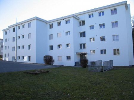 Moderne 3.5-Zimmer-Wohnung in Obfelden zu vermieten - Photo 5