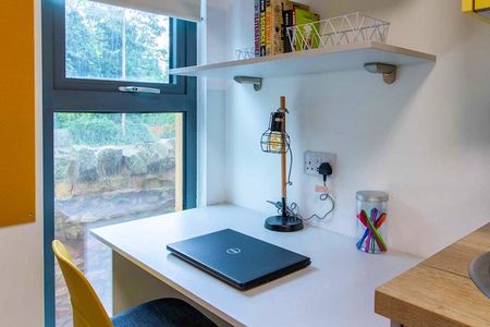 Deluxe Accessible Studio - Photo 4