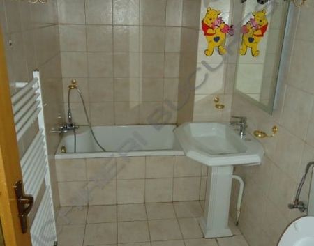 Domenii vila de inchiriat 250mp - Photo 2