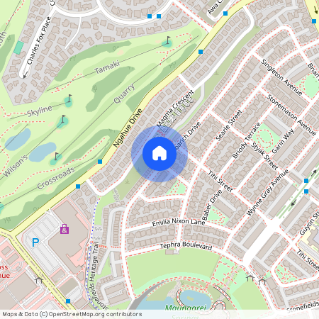 127 Barbarich Drive, Stonefields, Auckland City