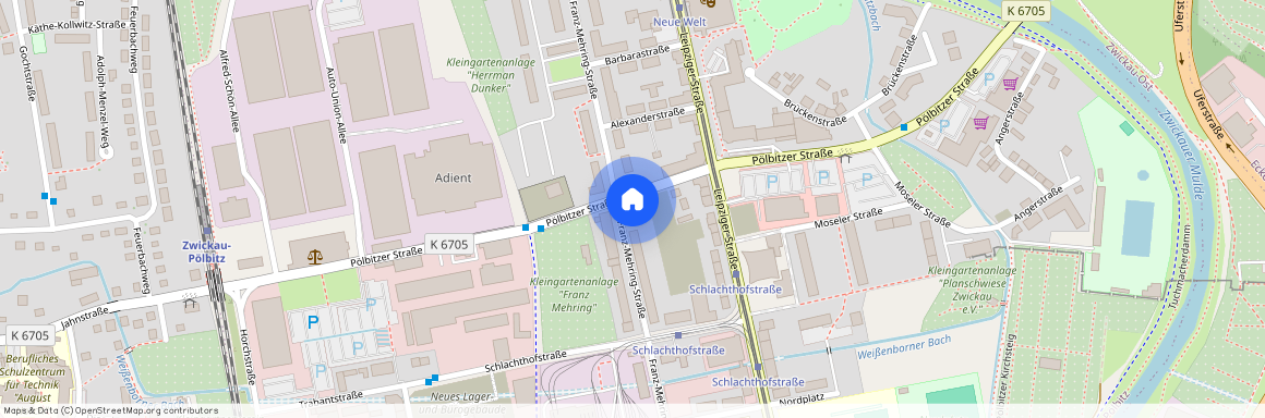 Franz-Mehring-Straße 58, 08058 Sachsen - Zwickau