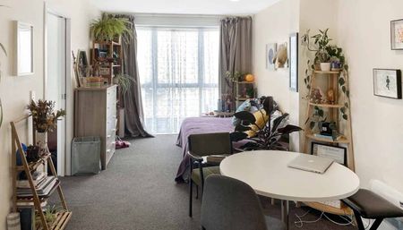 Apartment Living in Aro Valley - Photo 5