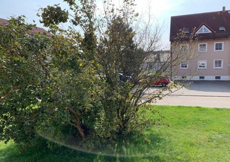 Tolle 2-Raum Wohnung in Gerichshain bei Machern! - Photo 2