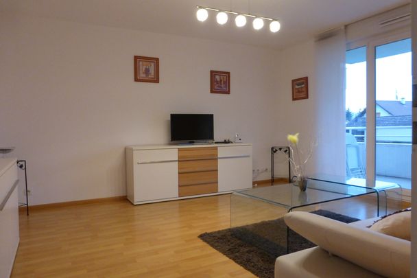 Location Appartement HUNINGUE 840 € CC - Photo 1