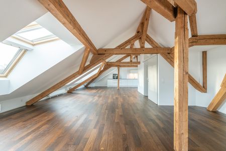 Einmalige Gelegenheit - wunderschöne Loftwohnung beim Zolli - Foto 3