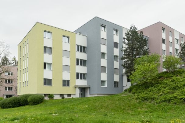 4 ½ Zimmer-Wohnung in Horgen mieten - Photo 1