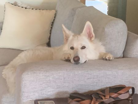 Mudgeeraba - Photo 2