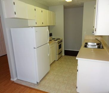 Unit 3, 4809-52 Street Olds - Photo 5