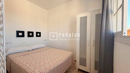 Estudio en alquiler en Calle de Serrano Parres, Ciudad Jardín, Ciudad Jardín, Málaga - Foto 3