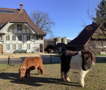 7.5 Zimmer, 190 m², 1. Stock - Photo 5