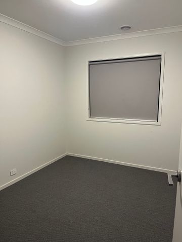 Donnybrook - Photo 2