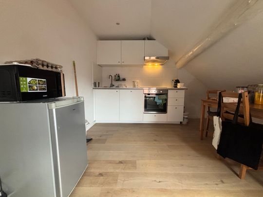 Ruim flatje op de Leuvense ring! - Foto 1