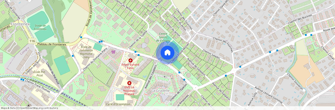 Chemin David-Munier 3, 1223 Cologny