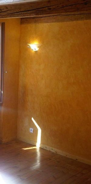 Location Appartement 2 pièces 30m² ANNECY 74000 - Photo 1