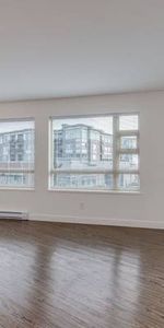 GORGEOUS 1 BDR APT, PET FRIENDLY-RICHMOND - Photo 4