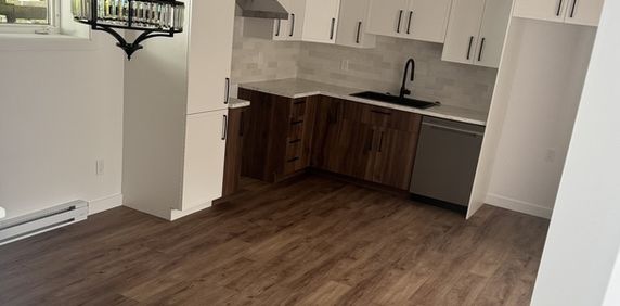 Magnifique 3 1/2 Illuminé Appartement - Photo 2