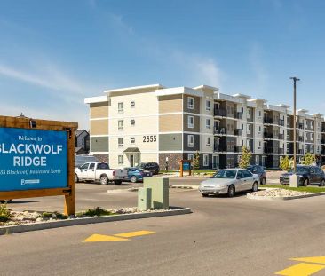 Blackwolf Ridge — Two Bedroom Two Bath - Photo 1
