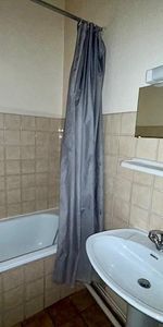 Location Appartement 1 pièce 24m² VILLEURBANNE 69100 - Photo 3