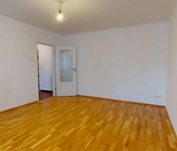 Oelweingasse/Braunhirschenpark - Erdgeschoßwohnung in guter Hausstr... - Foto 2