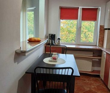 Dau in chirie Apartament 2 camere Manastur, Aleea Negoiu, cu parcare - Photo 6
