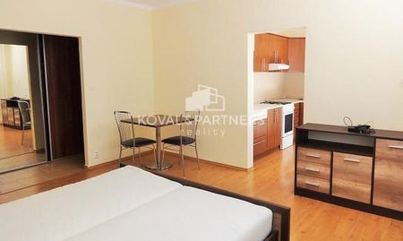Na prenájom pekný 1 izbový byt s loggiou - Levice, Vinohrady - Fotografia 2