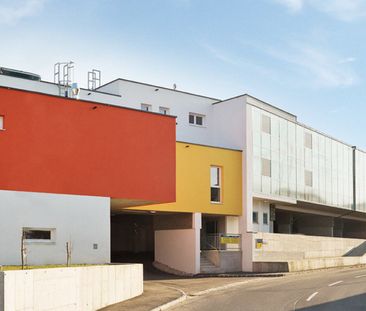 ZELKING-MATZLEINSDORF I - Photo 6