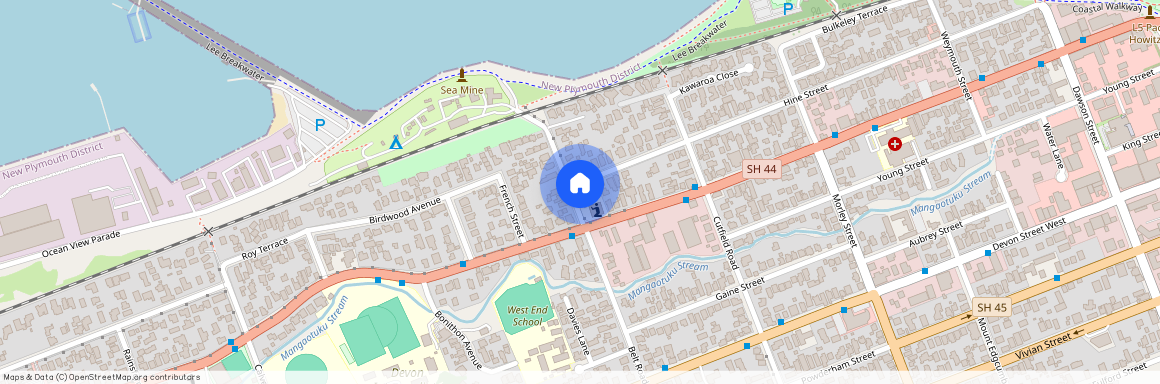 21 Belt Road, New Plymouth