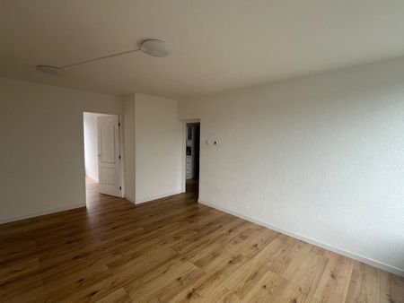 Te huur: Kamer Miltonstraat in Rotterdam - Foto 2