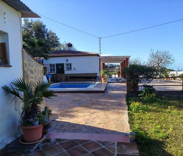 Alquiler de casa o chalet independiente en Pago Romeral, 262 - Photo 3