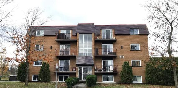 Grand 3½ à 845$, eau chaude et chauffage inclus, Sherbrooke Est - Photo 2