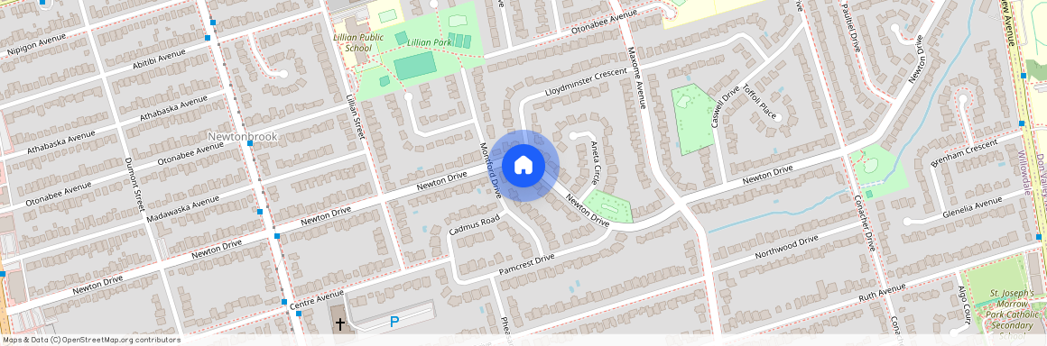 163 Newton Drive, Toronto