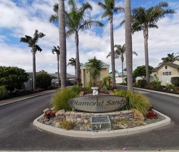 Resort Living Delight - Papamoa - Photo 1