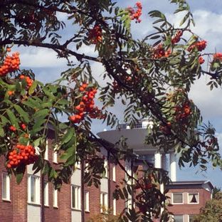 Trollbackevägen 36 - Photo 1