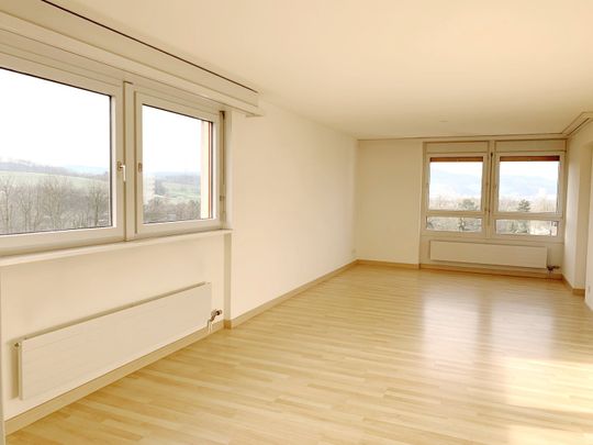 2.5 Zimmer, 66 m², 20. Stock - Foto 1