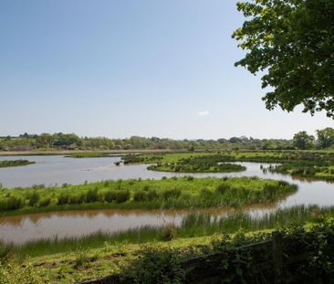 1 bedroom retirement property to rent - Photo 6