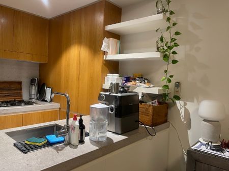 Erskineville - Photo 4