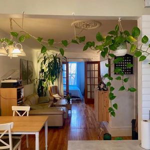 Très grand 3 ½ - rénové à Villeray près du métro Crémazie/Jarry - Photo 2