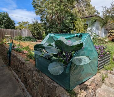 Lower Plenty - Photo 3