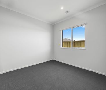 Spacious Family Home In Bonshaw - Photo 5