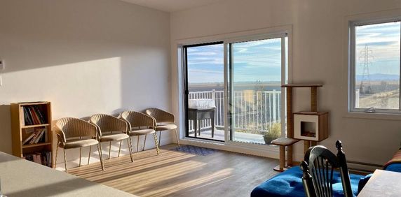 Superbe 5 1/2 adossé à un champ 5 mins des services St-Hyacinthe - appartement / logement à louer - Photo 2