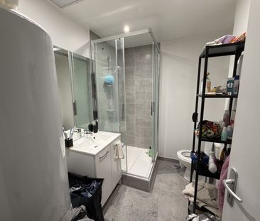 Location Appartement 3 pièces 46m² CHATILLON SUR CHALARONNE 01400 - Photo 4
