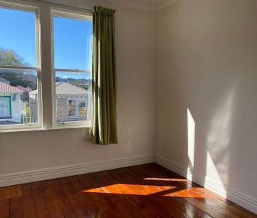 Sunny renovated Aro Valley home - Photo 3