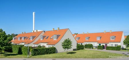 3-værelses Rækkehus på 108 m² i Holmegaard - Photo 4