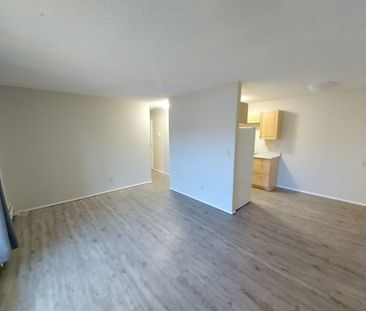 Unit Available in Mature Area of Downtown! One Month Free Rent!! - Photo 4