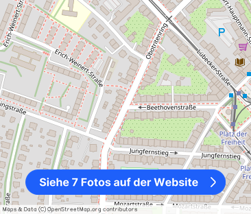 Stadtwohnung mit Duschbad & Laminat & Veranda - Foto 1