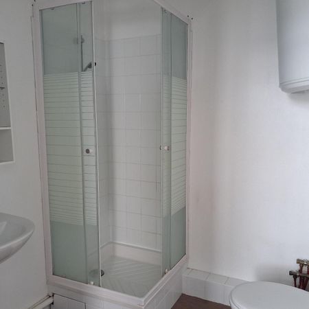 Location Appartement 1 pièce 31m² ST ETIENNE 42000 - Photo 3